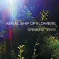 AERIAL SHIP OF FLOWERS image
