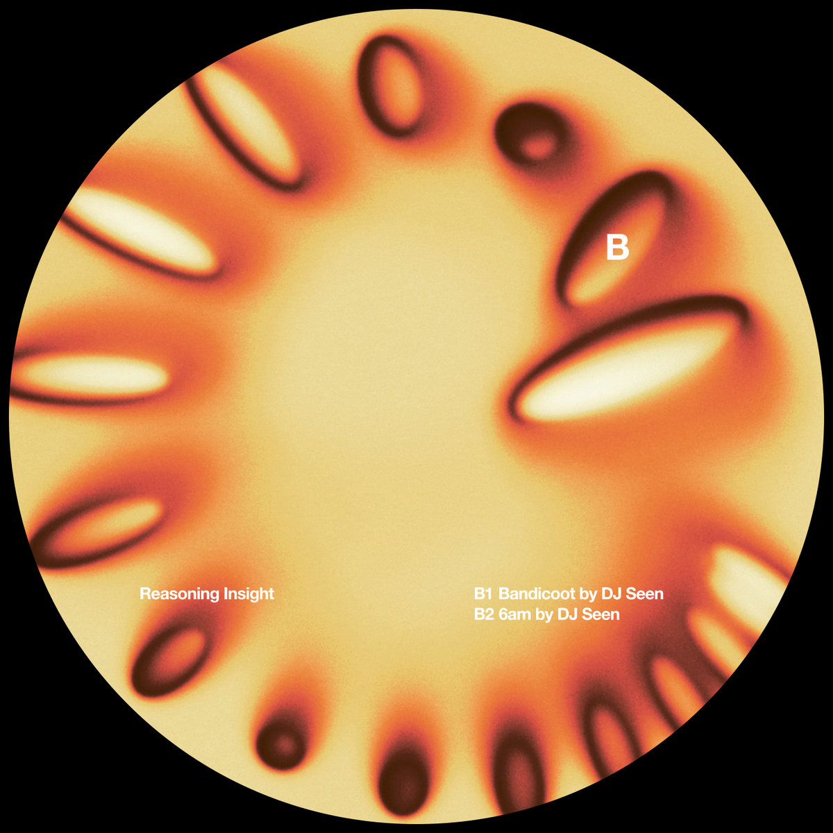 Hypnotique EP | DJ Seen | Shiver Records