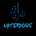 Waterdogs image