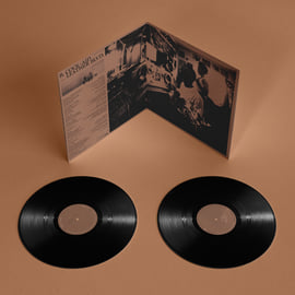 Black 2 x 12" Vinyl LP, image 2