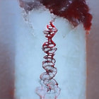 syncretist thumbnail