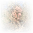 s̴̹̠̔̔̾̄̐͝͝p̷͖͕͍͌͑͗̉͒ẽ̷̘͚͖͈̱̥͌̀̏͊͗͂ȩ̸̤̫̭̬̍̍̀͑̚ͅt̶̛͈̝̏ḝ̴̯̂̐̂͊̿́̎͠r̴͕̝̼̼̳̃͊̎͑̽̃͐̕ thumbnail