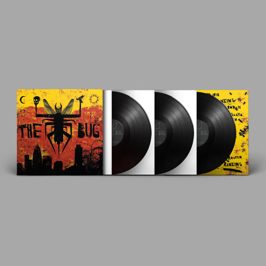London Zoo | The Bug