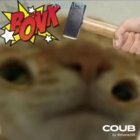 barry681 thumbnail