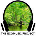 THE ECOMUSIC PROJECT image