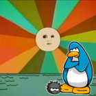 sunvin thumbnail