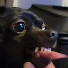 darthvada thumbnail