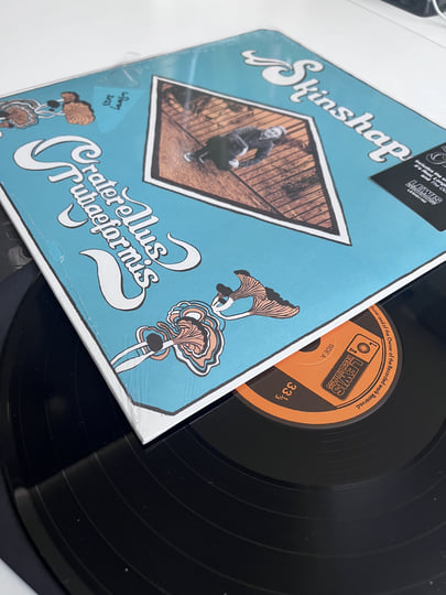 LP Skinshape Craterellus Tubaeformis LEWIS1162 LEWIS 未開封 /00260 Skinshape – Craterellus Tubaeformis – Vinyl (LP, Album), 2023