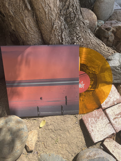 1987 | Lucy in Disguise | Innerworks Records