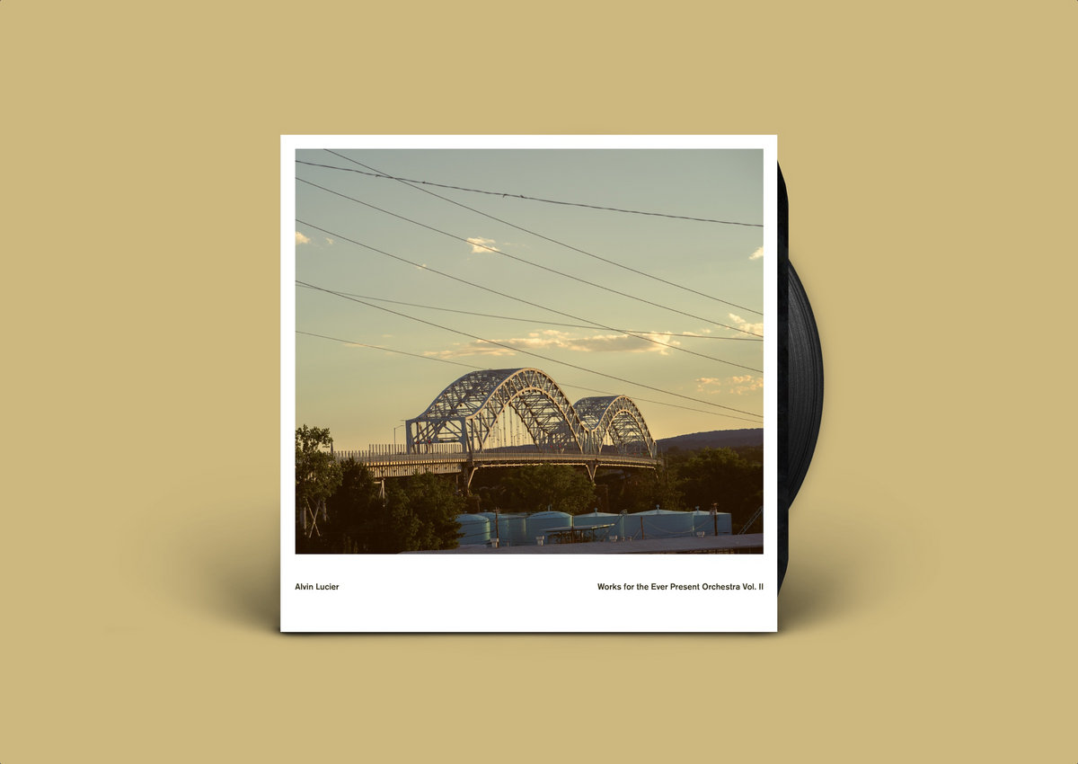 Timroughgarden s Collection Bandcamp