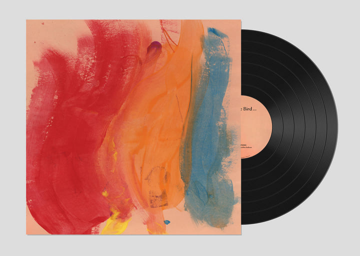 Paradise Bird | Joel Andrews | Yoga Records