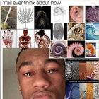 scrdbtch thumbnail