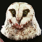 Oisín Meagher thumbnail