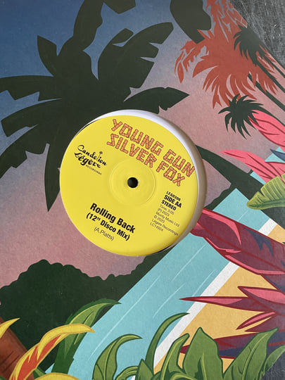 The Disco Mixes | Young Gun Silver Fox | Légère Recordings