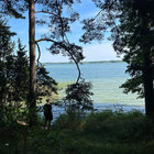 2LP-Uneven Paths：Deviant Pop From Europe Uneven Paths: Deviant Pop From Europe 1980-1991 | Various