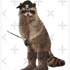 thepirateraccoon thumbnail