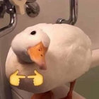 klapsznita thumbnail
