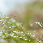 Maryu thumbnail