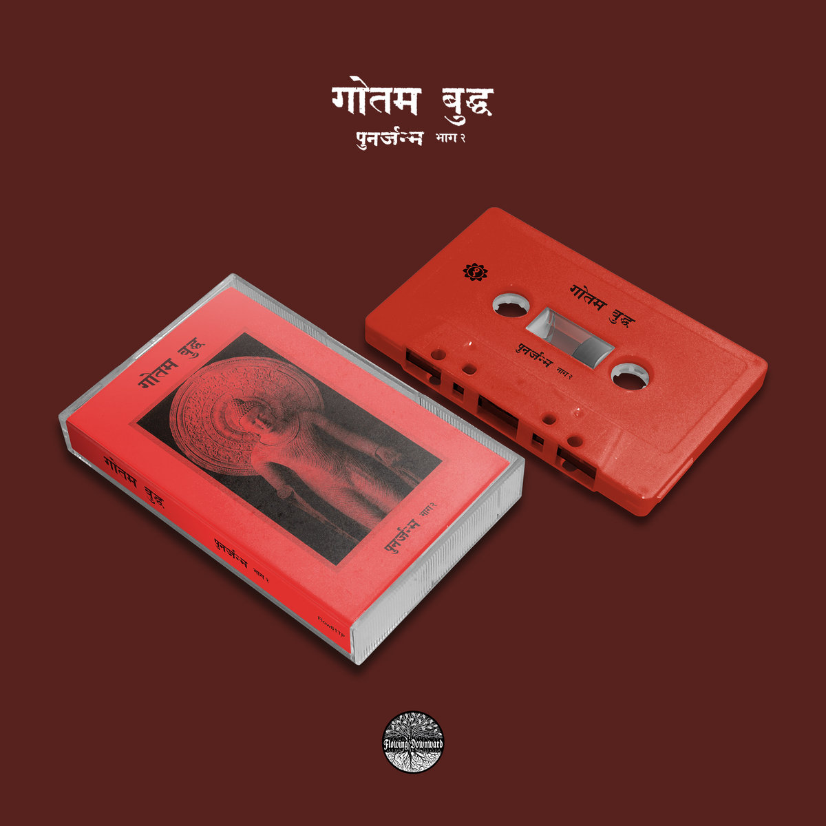 पुनर्जन्म भाग २ | Siddhattha Gotama | Flowing Downward