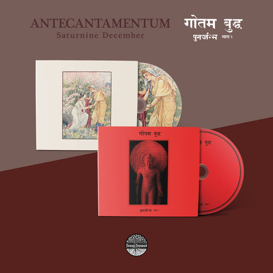 पुनर्जन्म भाग २ | Siddhattha Gotama | Flowing Downward