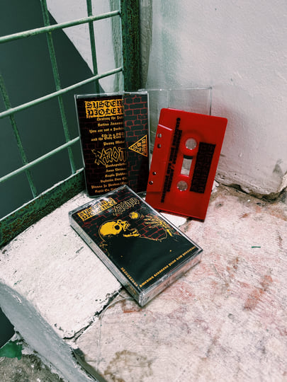 Portuguese / Swedish Hardcore Punk Raw Pollution | Systemik Viølence