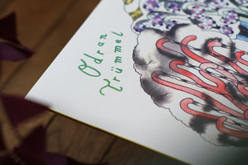 Planète Tue-mouche- vinyle édition limitée, image 3