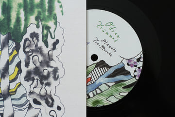 Planète Tue-mouche- vinyle édition limitée, image 5