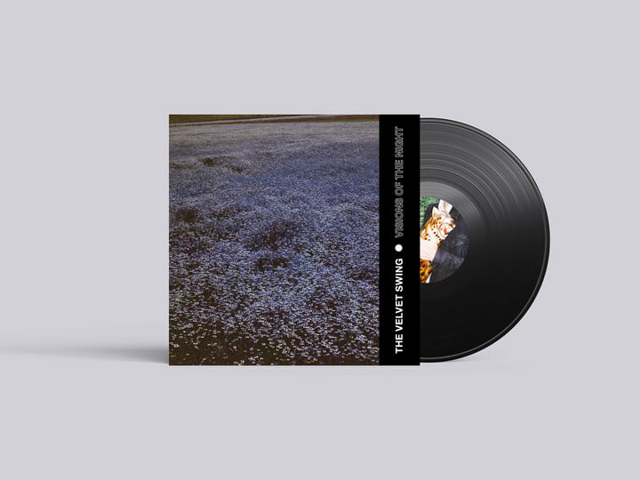【ラプンツェル様用】VISIONS OF THE NIGHT / Guerril Visions Of The Night (LP) | The Velvet Swing