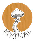 Mycelial image
