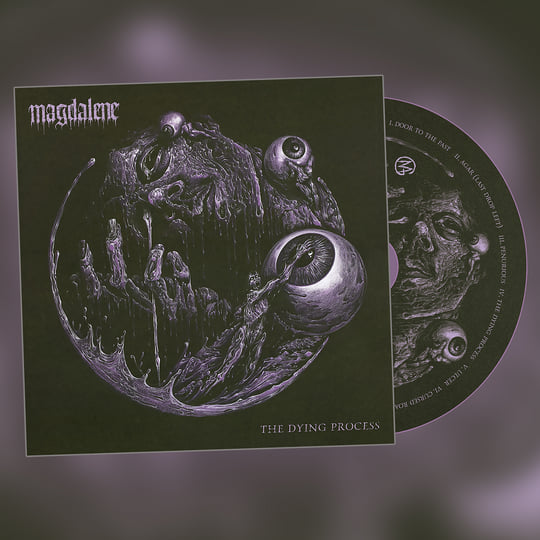 Do or Die／PARADISE　輸入盤CD PARADISE (US) / Do Or Die (CD+DVD)