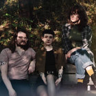 littlefauna709 thumbnail