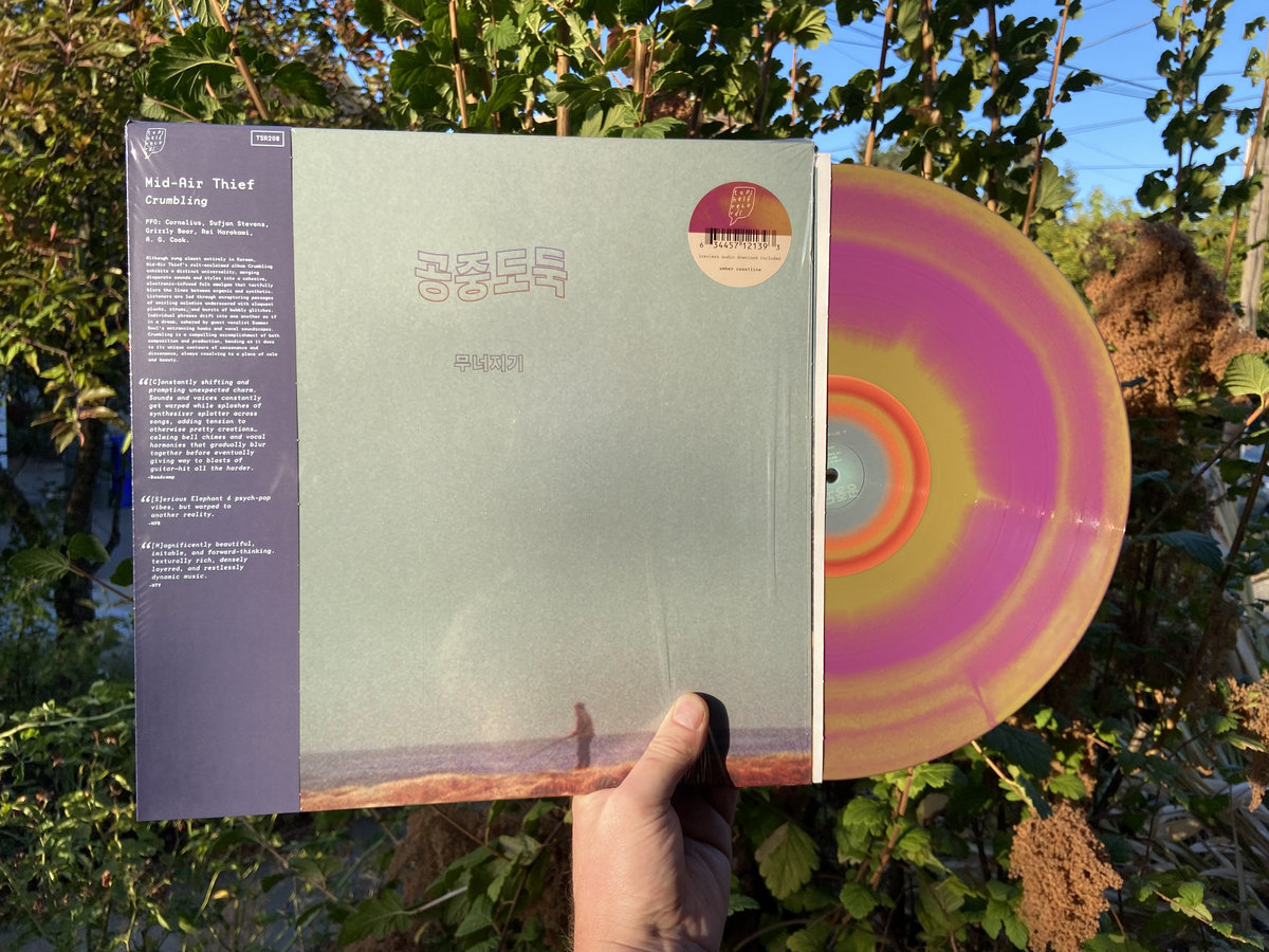 激レア! 空中泥棒 mid-air thief『Crumbling』レコード Crumbling | 空中泥棒(Mid-Air Thief) | Botanical House