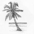rkim016 thumbnail