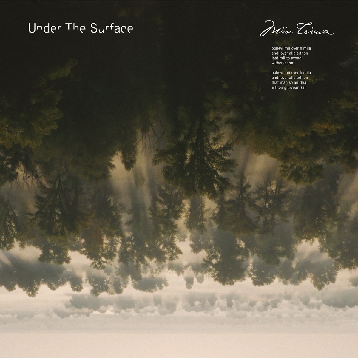 洋楽 V.A - O.D presents Beneath the Surface BENEATH THE SURFACE ©2025 | BLOWN