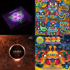 Raja Ram´s Stashbag Volume 5 | Various | TIP Records