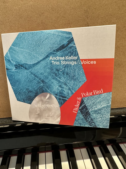 Flicker & Polar Bird | Andrea Keller (trio, strings & voices