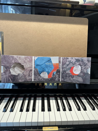 Flicker & Polar Bird | Andrea Keller (trio, strings & voices