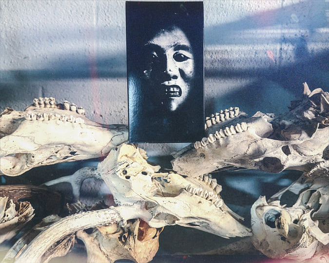 エ​​​ン​​​ト​​​リ​​​ー05 | 死のビジョン | New Shade Society