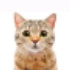 user_111 thumbnail