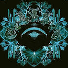 light worker  thumbnail