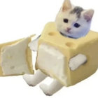 kyleshmile thumbnail