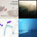 Roots; | Roots;