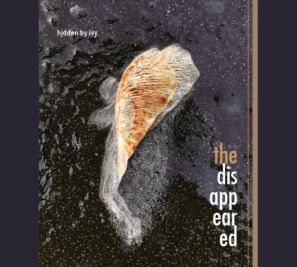 The Disappeared | Hidden By Ivy