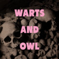 Warts and Owl image