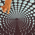 Santiago Gamell thumbnail