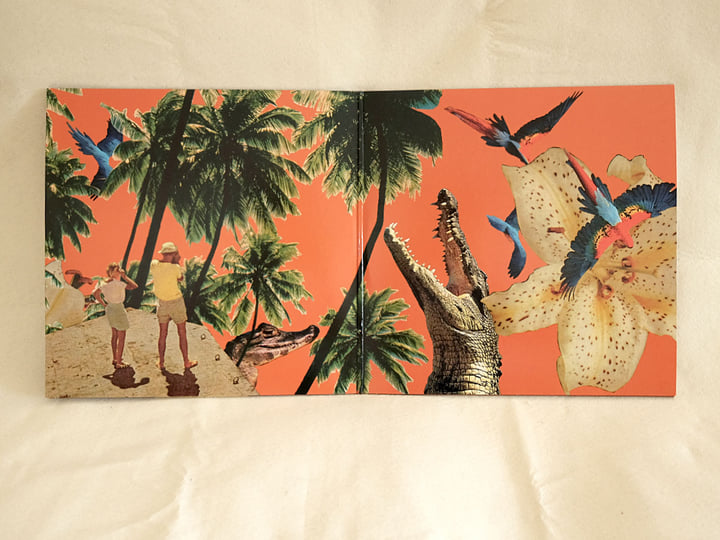 Those Who Throw Objects at the Crocodiles Will Be Asked to