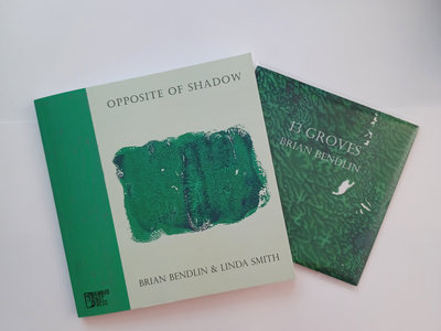 Opposite of Shadow Deluxe Edition (Bamboo Dart Press) main photo