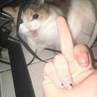 shaneomacmcgee thumbnail
