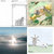 its-vedra thumbnail