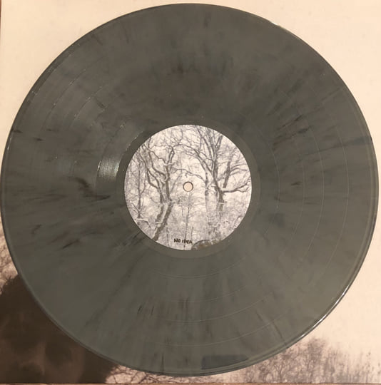 Self-Titled | CHRIS WOLLARD & THE SHIP THIEVES | No Idea Records